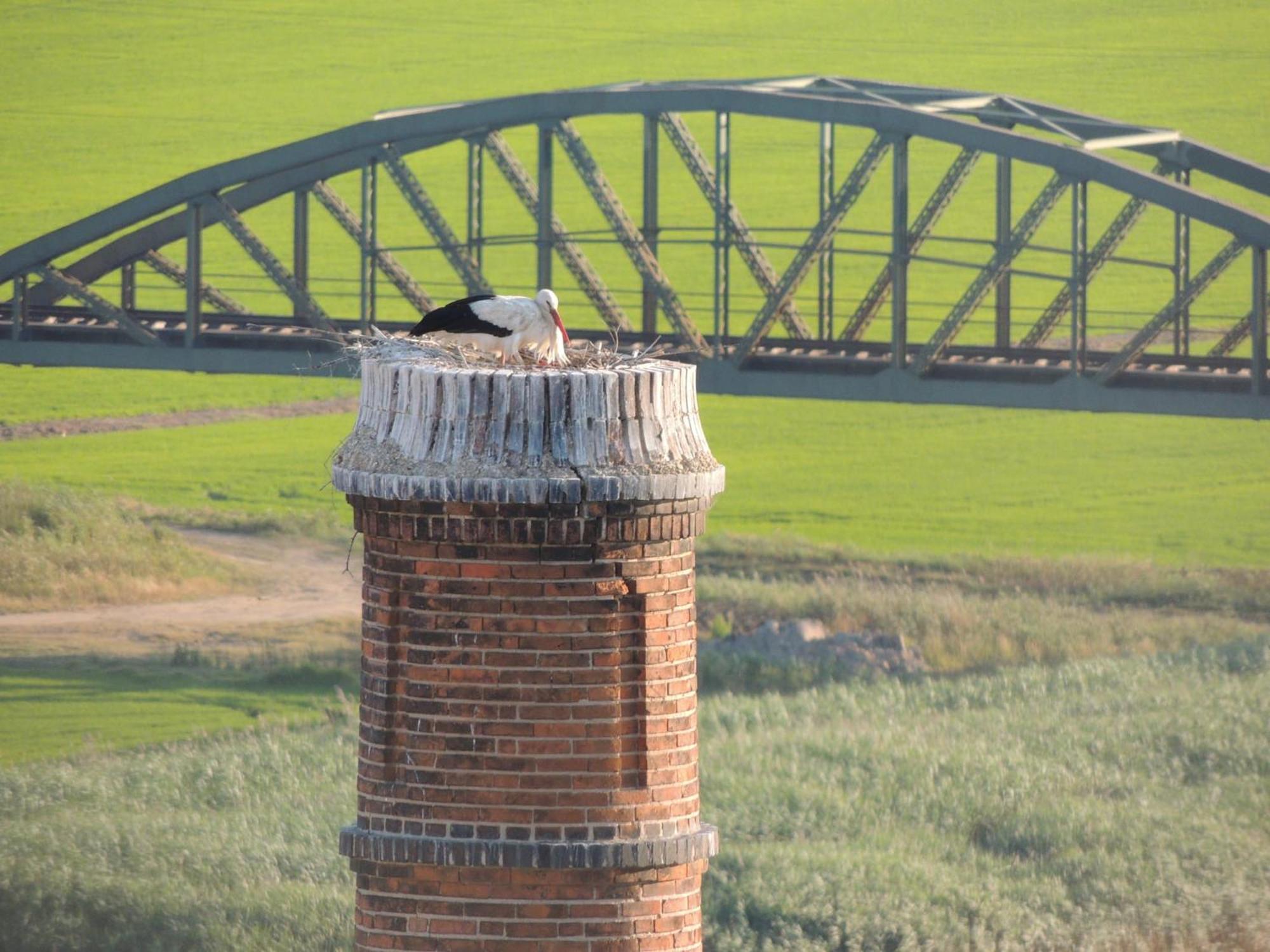 Alcácer do Sal Villa Sado מראה חיצוני תמונה